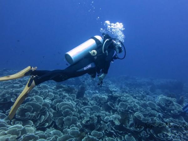 《大江大河之岁月如歌》解读，六位女性角色，三观天差地别
