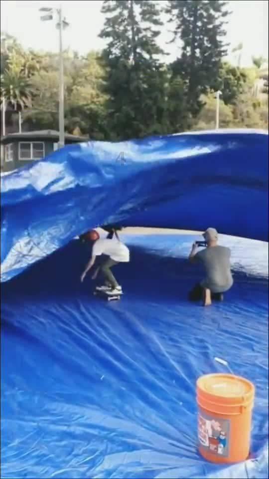 救援袋鼬